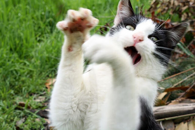 绝境王牌，郑思维15-1惊天逆转，中国队3-0碾压韩国挺进决赛