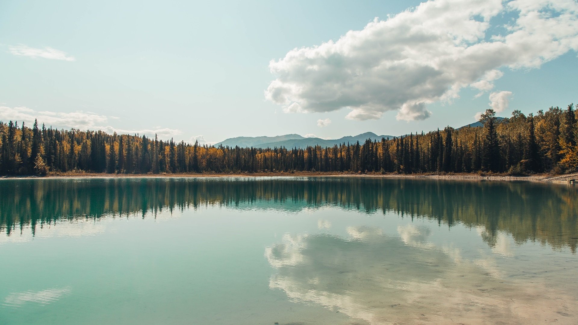 爱游戏官网-从总决赛险胜到联合杯扛旗—鲁德如何完成从孤勇者到领军人物的蜕变