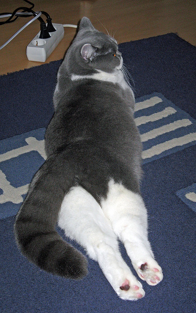 爱游戏在线-巨日垂落时，论浙江男篮如何在一个夜晚完成两种奇迹