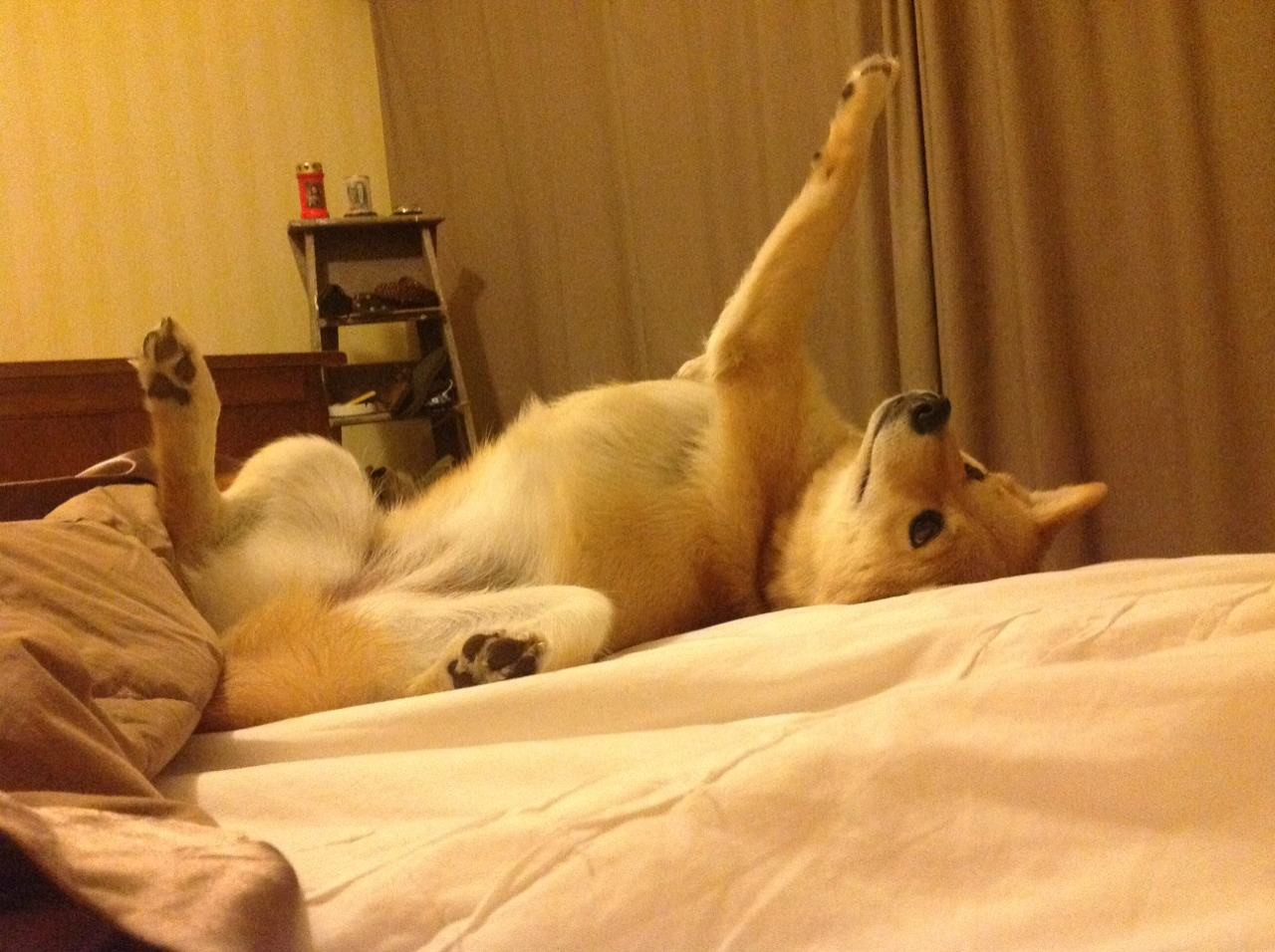 灰熊末节兽性觉醒！范弗利特连珠炮轰碎山西铁阵