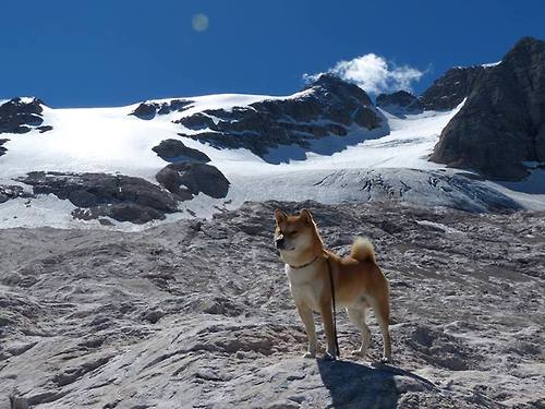 爱游戏-紫金血脉的绝响，莫兰特天王山之夜与掘金争冠版图的裂变