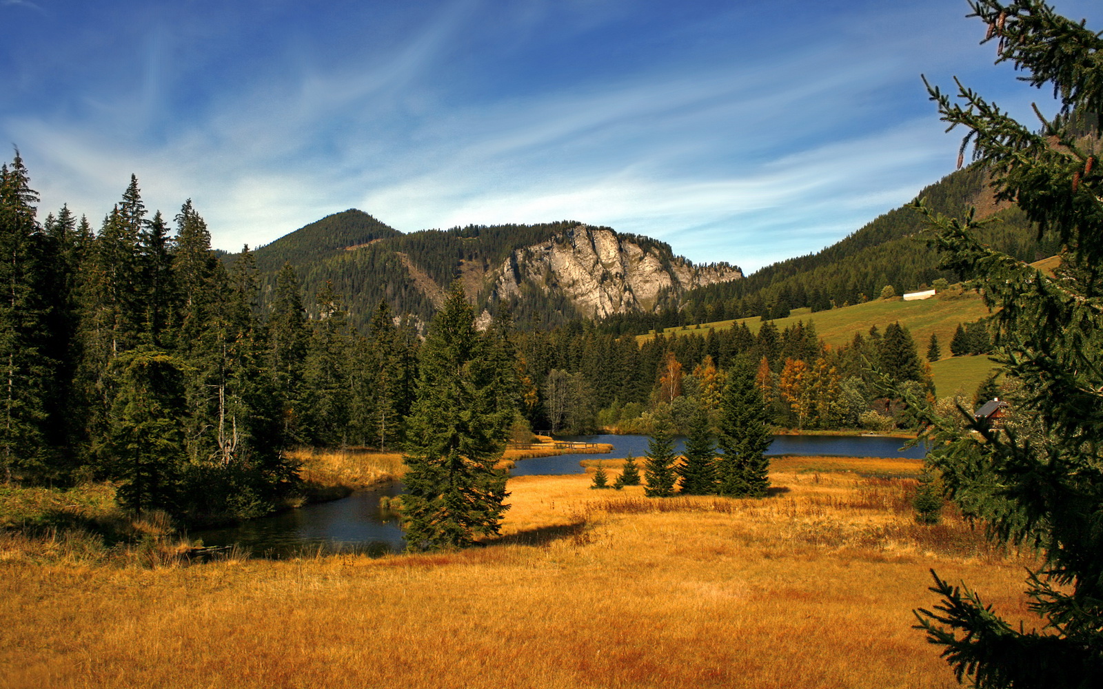 爱游戏下载-从罪人到救世主，那个被压力淬炼出的、无法复制的基米希之夜
