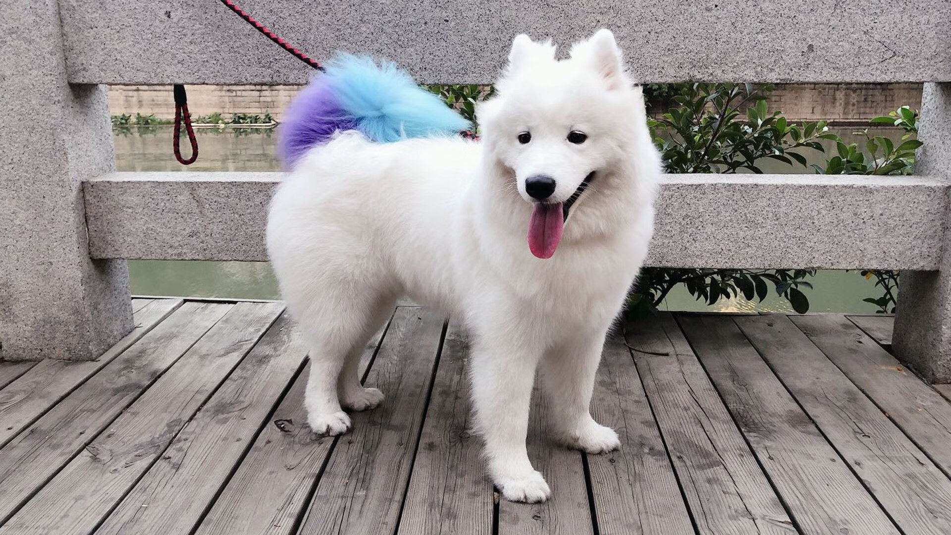 当俱乐部穿上国旗,切尔西国家队世界杯首秀纪实