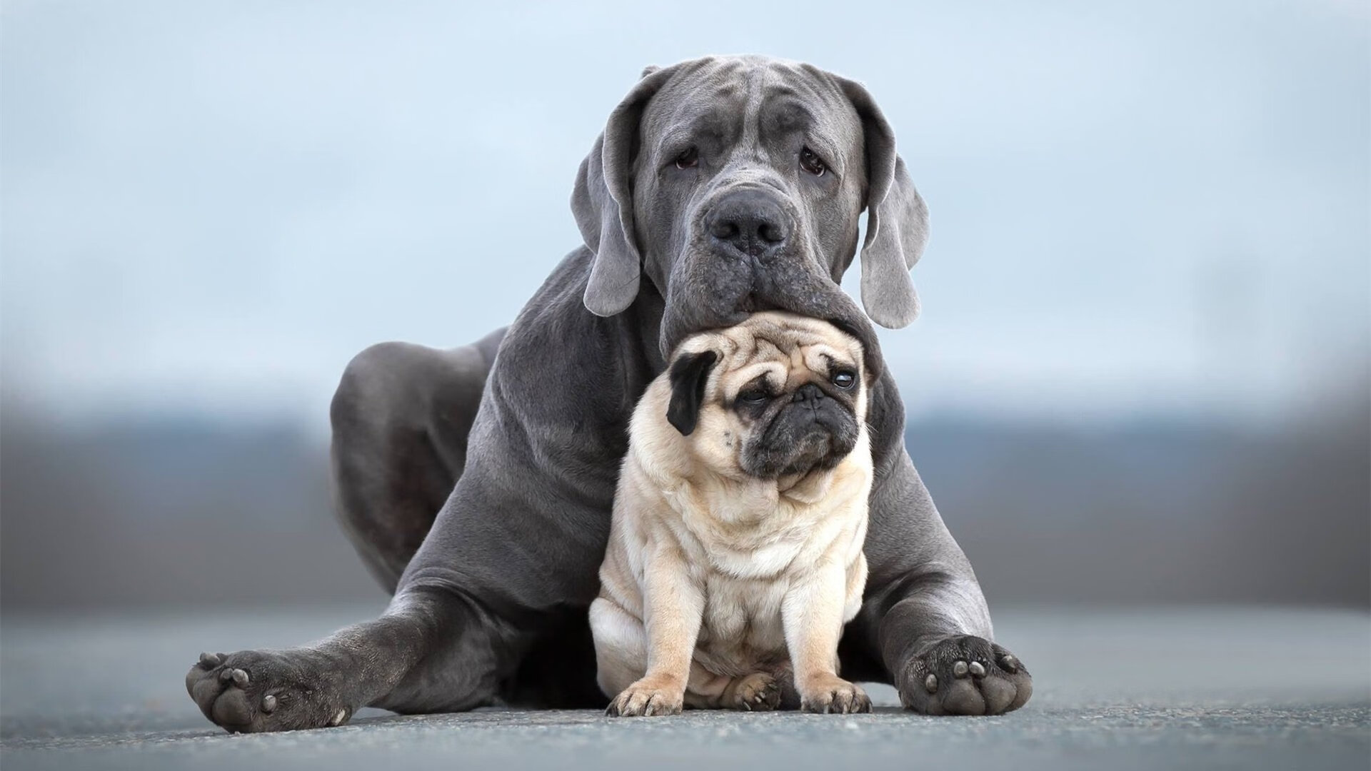 爱游戏tv-火箭的狂飙与乔治的舞蹈，当胜利跨越大陆同时上演