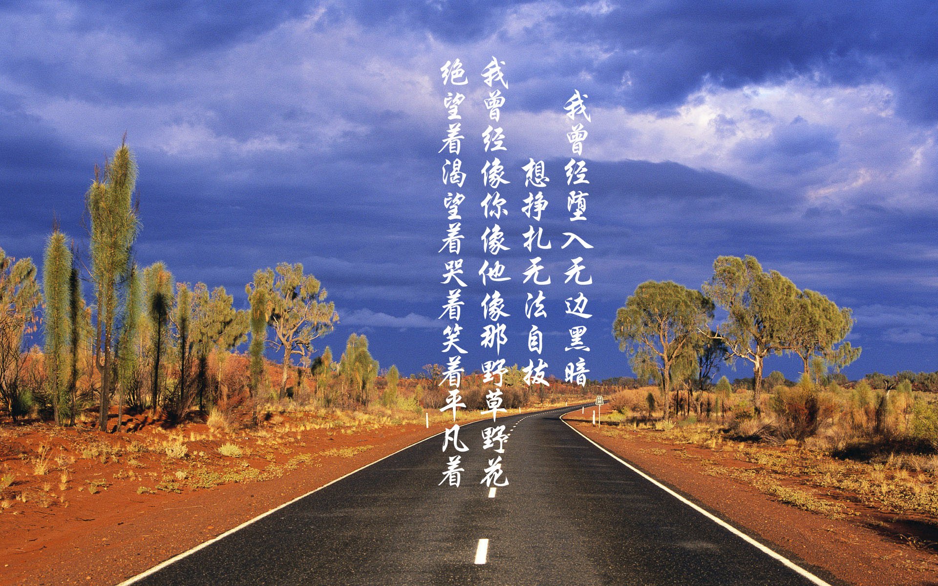 跨界战术传奇，葡萄牙足球智慧如何点燃卡马文加的NBA总决赛统治时刻