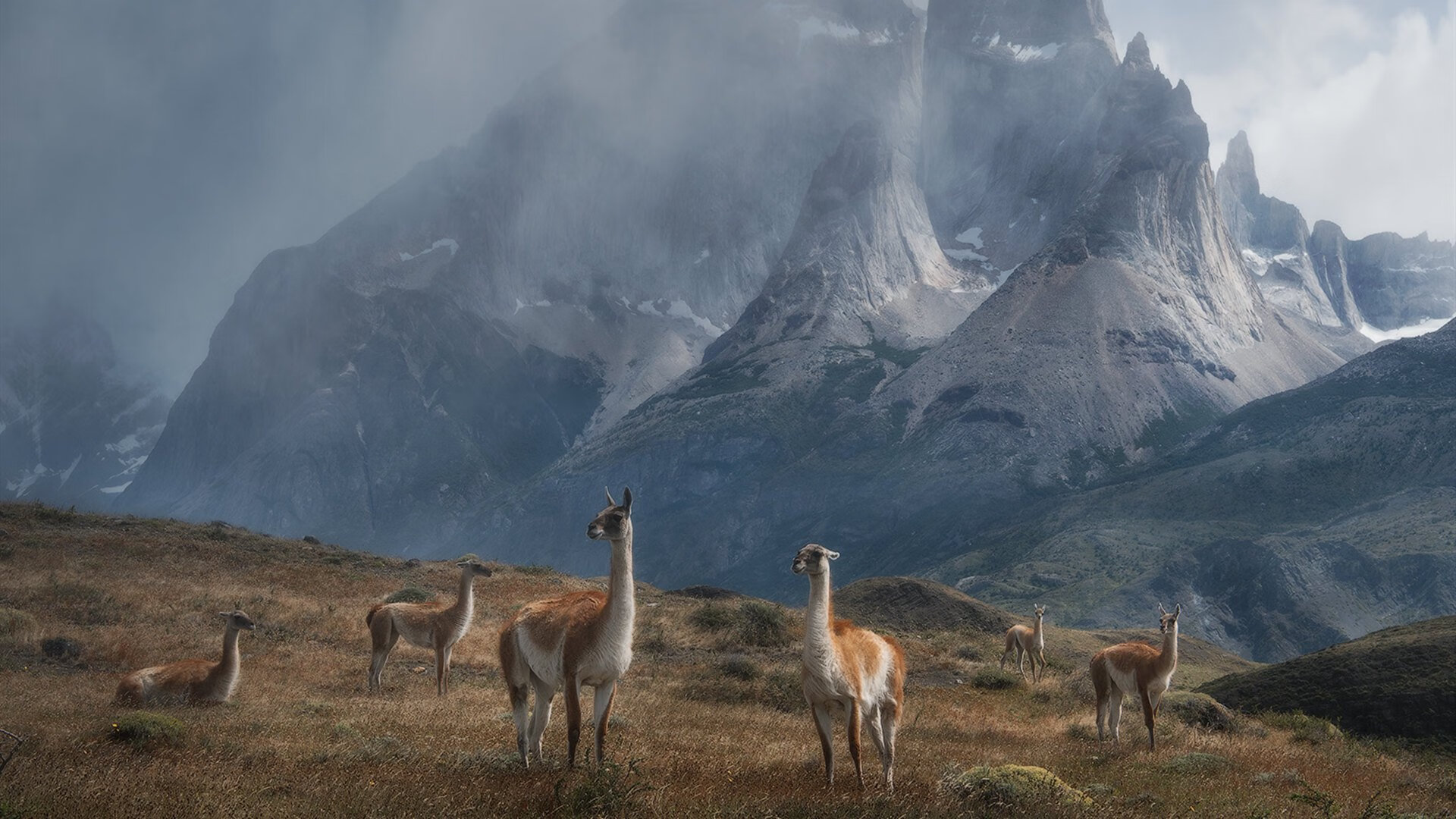 国际邀请赛爆冷，文班亚马独木难支，深圳队东方铁骑火力压制尼克斯