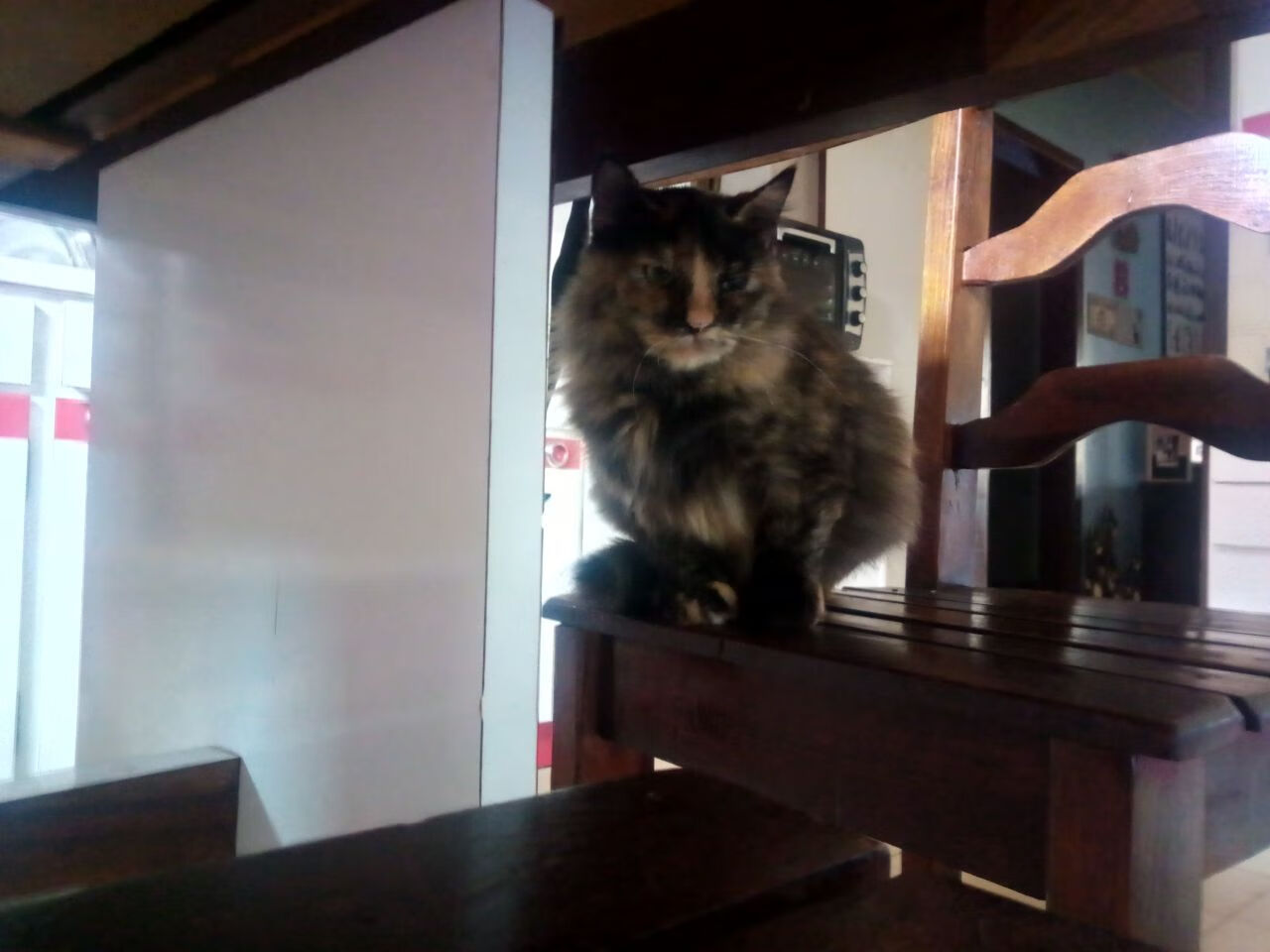 爱游戏体育-元宇宙弑神，当约基奇率雷霆在异规则淘汰赛碾过北京首钢