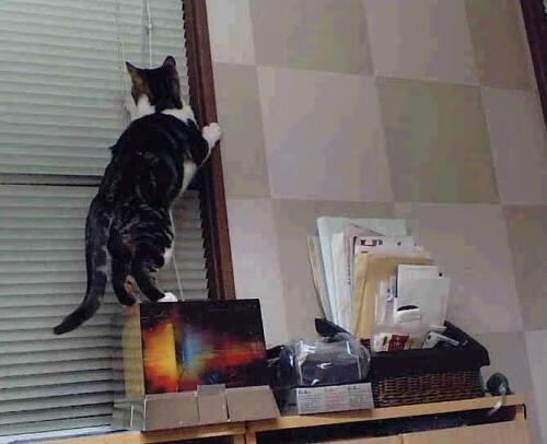 爱游戏-杜兰特身披山西战袍手刃老东家，一场跨界奇迹让篮球世界为之颠覆