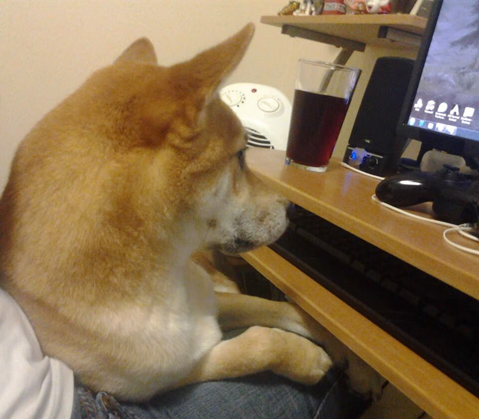 爱游戏官方-铁骑踏破王权，伦纳德用三秒重写终局