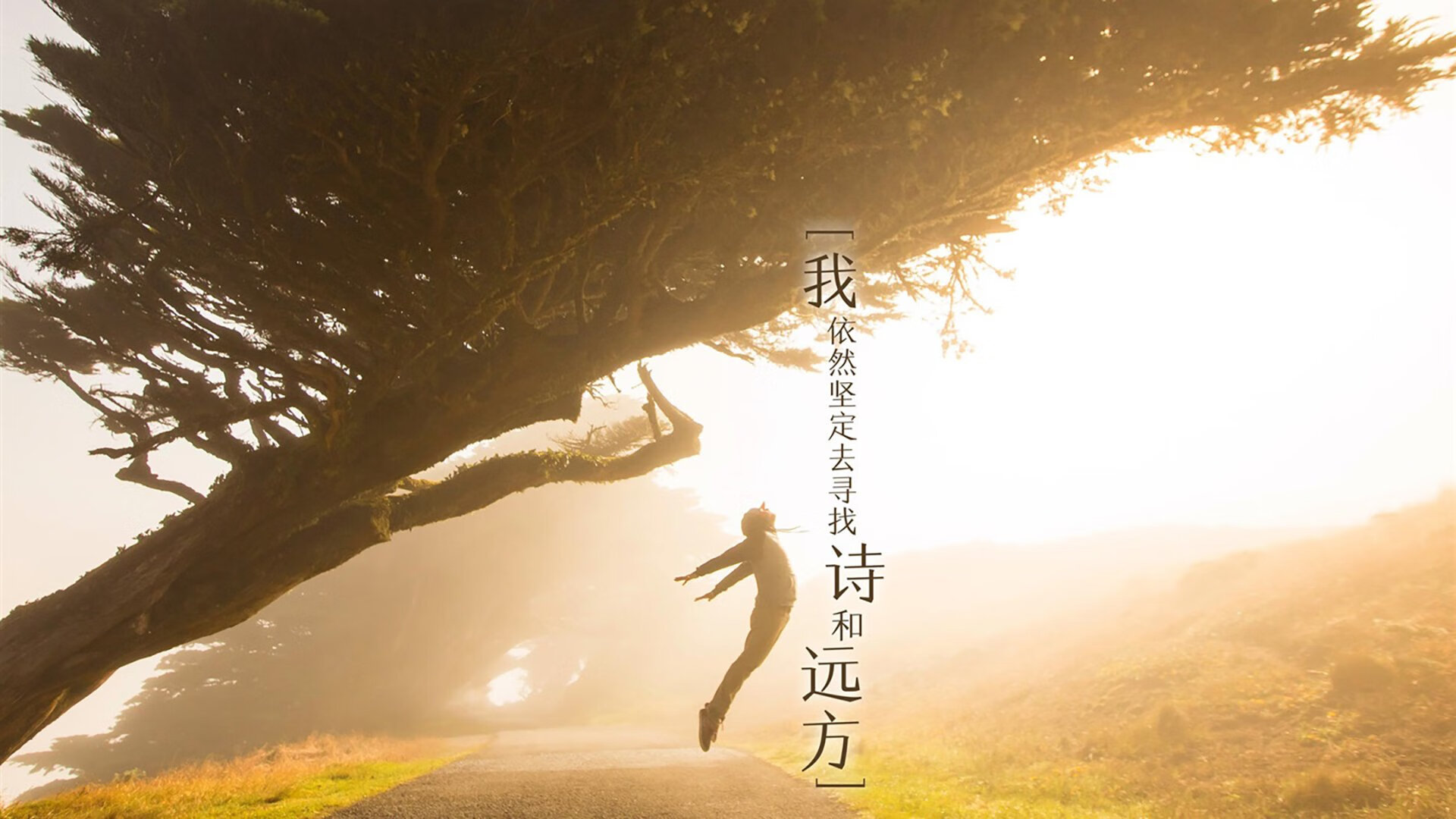 世界排名暗战，奥地利国家队收割曼城体系，战术革命颠覆传统强弱观