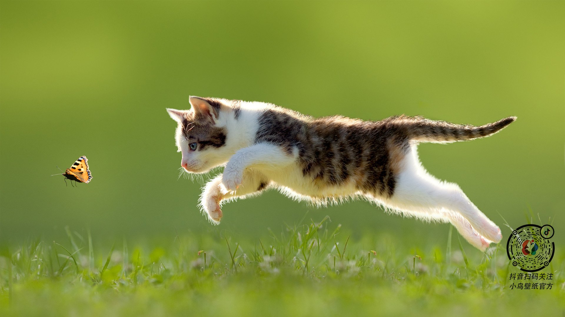 爱游戏tv-里程碑之夜，武切维奇带领上海队收割北京队