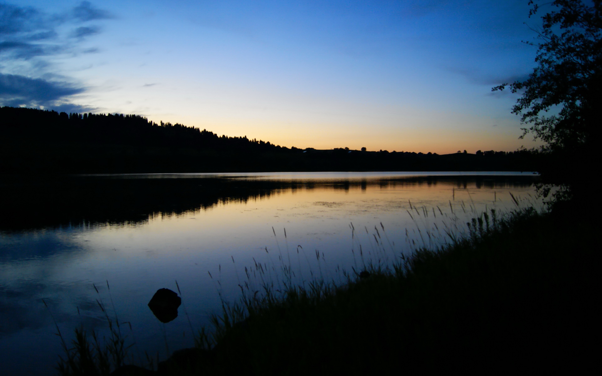 夜之纹章,当范弗利特在街道上刻下胜利密码