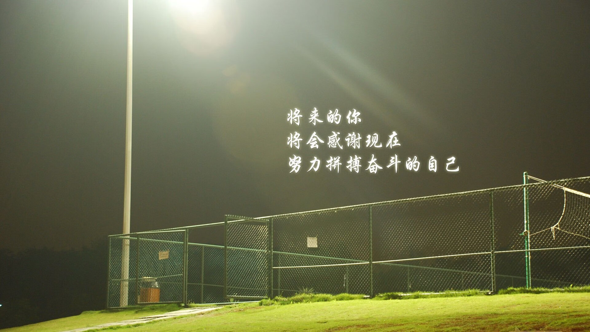 沙漠之鹰的致命弧线,2026世界杯黑马之战,卡塔尔如何用坎塞洛的最后一击撕裂波兰铁幕