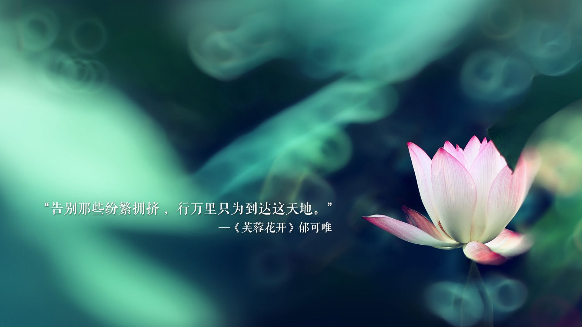 孤星闪耀，2026世界杯E组，孙兴慜以锋线利刃刺穿加纳防线，韩国一役定乾坤