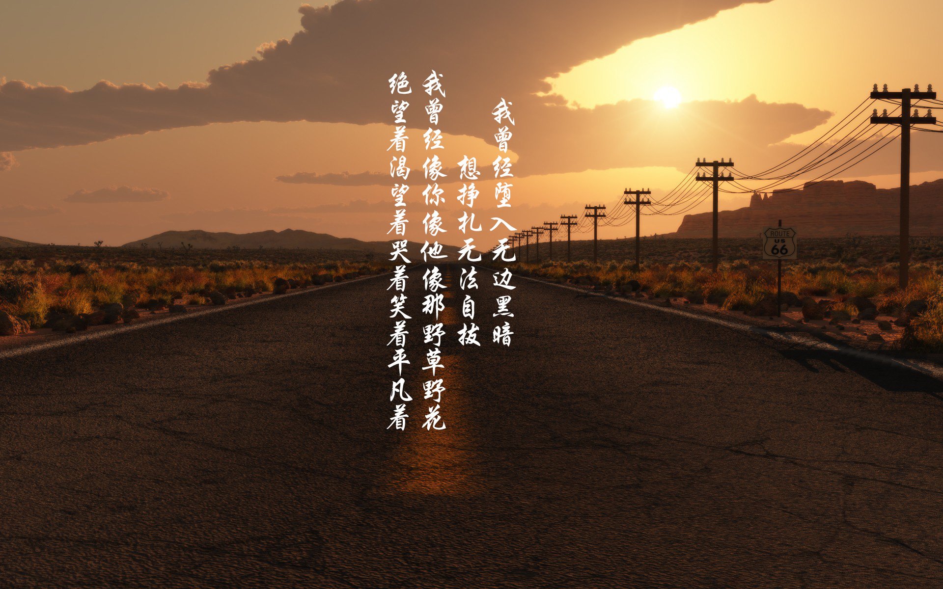 橙衣风暴，2026世界杯D组生死局，荷兰铁骑血洗厄瓜多尔，哈兰德天神下凡定乾坤
