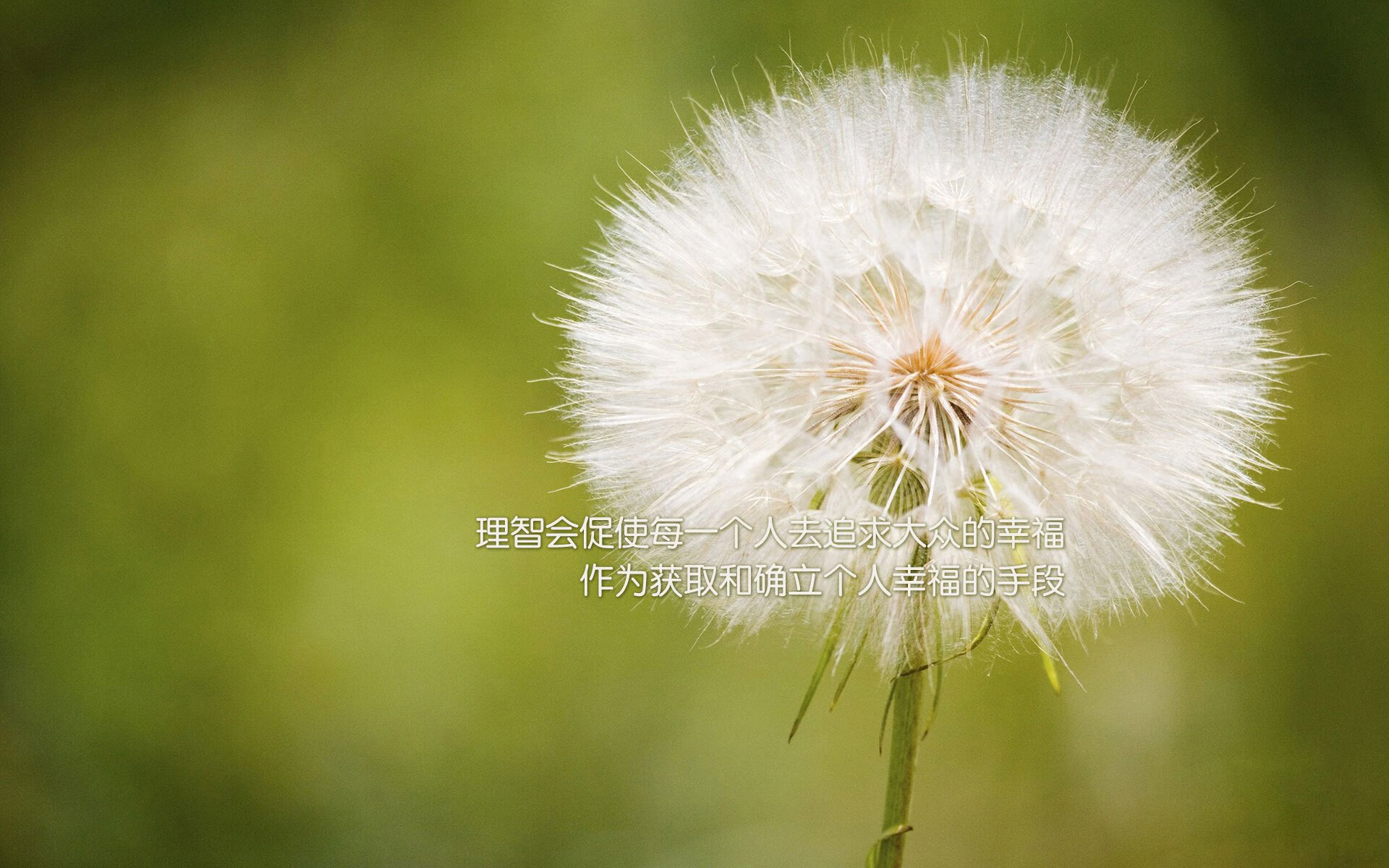 逆转的独白，2026世界杯D组，罗马尼亚以孙兴慜之名改写历史